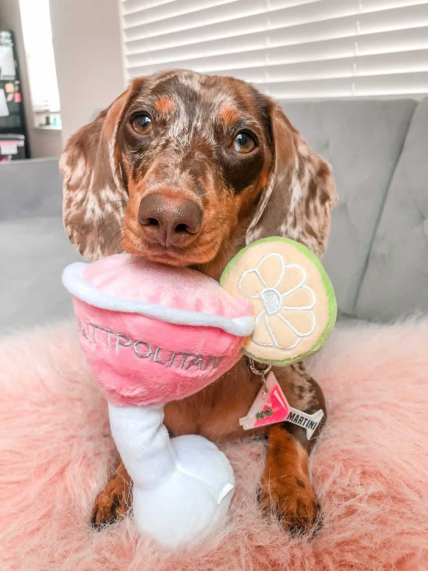 Cosmuttpolitan Dog Toy