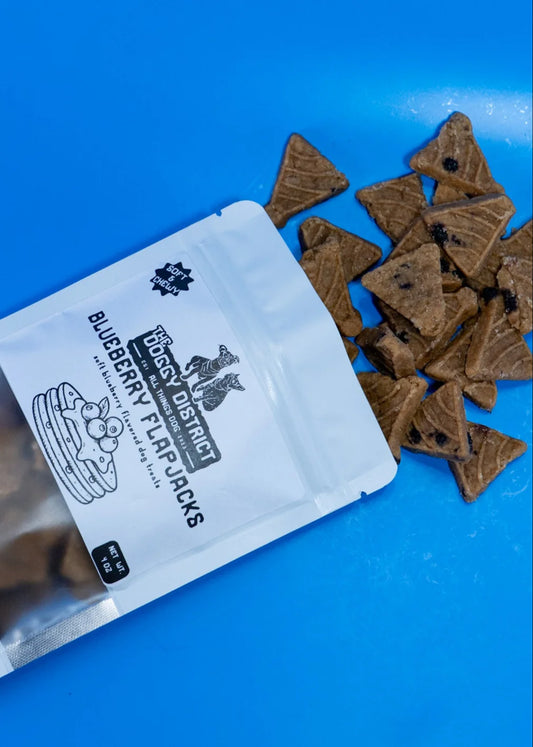 Blueberry Flapjacks Soft Dog Treats